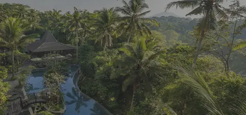 Bali Tour - Ubud 5