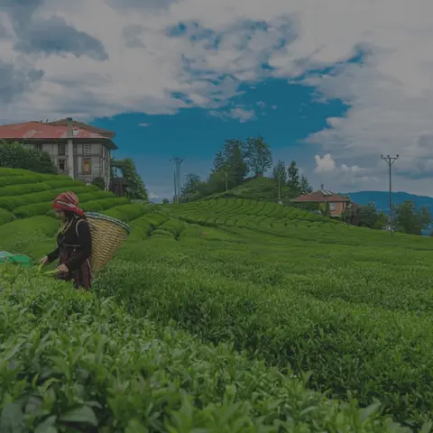 Rize & Ayder Tour 2